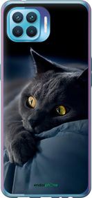 Чохол на Oppo A93 Димчастий кіт "825t-2185-2448"