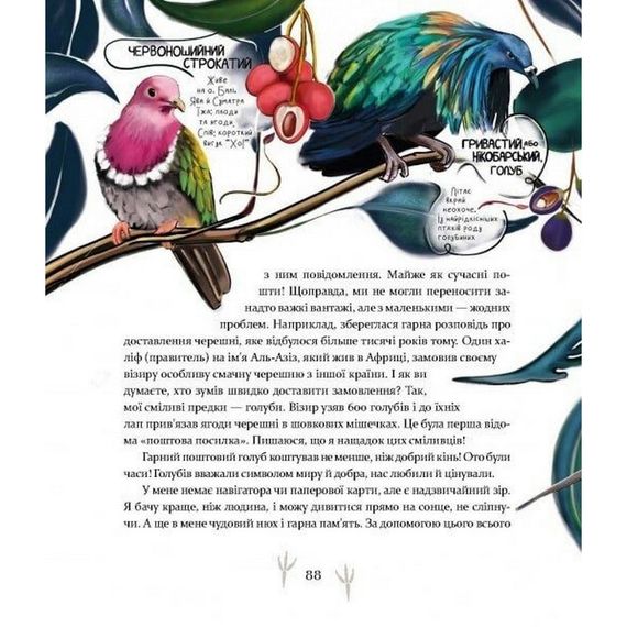 Дитяча книга "Такі, як ми. Про тварин та їхні характери" 253615 | Зображення 4