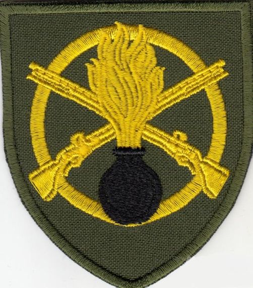 Шеврон 22 ОМПБ (олива)