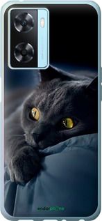 Чохол на Oppo A57s Димчастий кіт "825u-2931-2448"