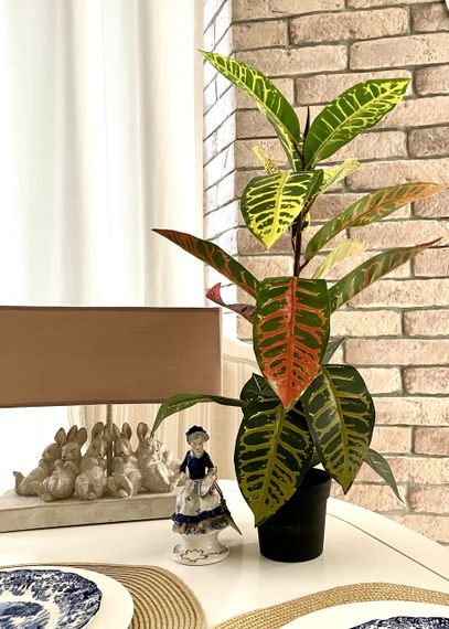 Штучний Кротон заввишки 60 см | Зображення 2