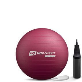 Фитбол Hop-Sport 45см сливовый + насос