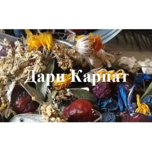 Дари Карпат