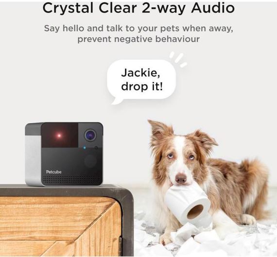 Petcube Компактна HD-камера  Play 2 (PP20US) | Зображення 2