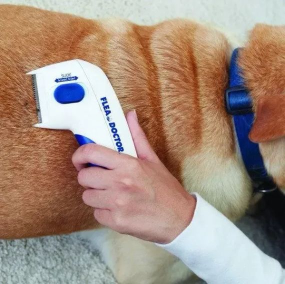 Електричний гребінець Flea Doctor від бліх для собак та котів | Зображення 2