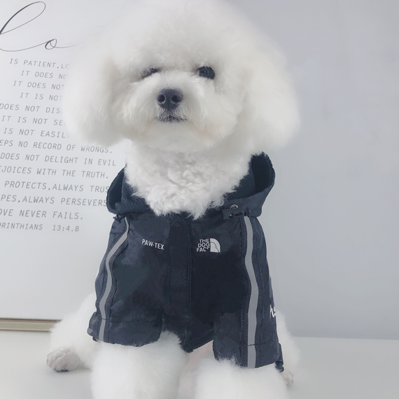 Куртка ветровка з тонкою підкладкою водонепроникна the dog face для собак чорна S розмір | Зображення 5