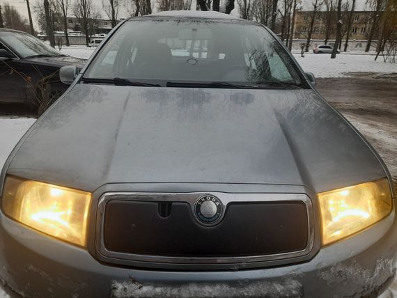 Зимняя накладка на решетку Глянцевая для Skoda Fabia 2000-2007 гг | Зображення 2