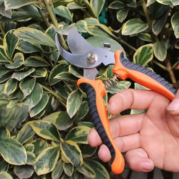 Набір садових інструментів у кейсі 14 в 1 Gardening Set ART Універсальний садовий набір | Зображення 6