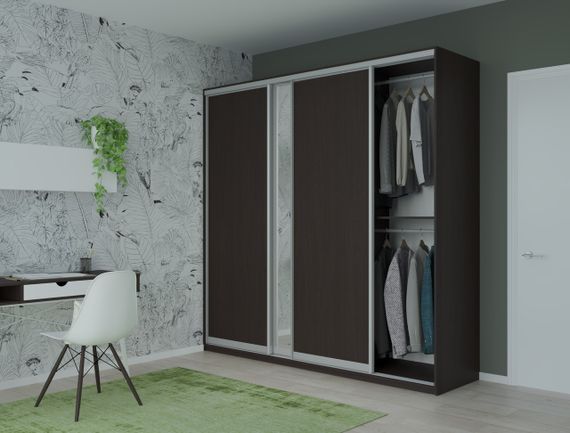 Шкаф купе Сити Лайт Doros Венге 2 ДСП / 1 Зеркало 225х60х225 (44900020) | Зображення 2