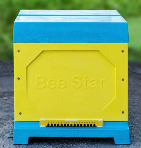 Вулик ППУ “BeeStar” (1 корпус Дадан 300 мм 10 рамок) – кольоровий | Зображення 2