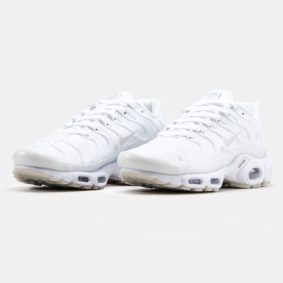 Чоловічі кросівки Air Max TN Terrascape весна / літо / осінь 1337 42