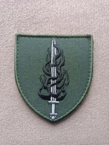 Шеврон 53 ОМБр