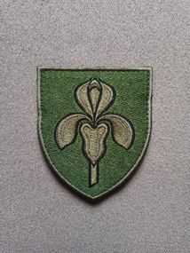 Шеврон 11 ЗРП (олива)