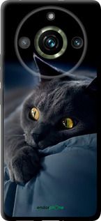 Чохол на Realme 11 Pro Димчастий кіт "825b-3077-2448"