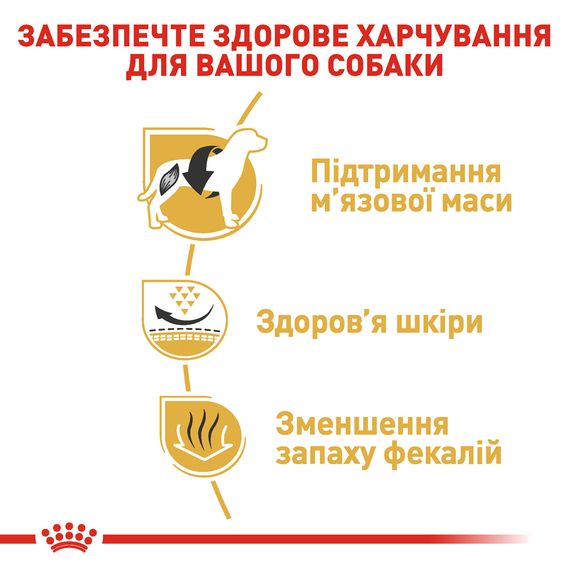 Сухий повнораційний корм Royal Canin French Bulldog Adult для дорослих собак породи Французький бульдог віком від 12 місяців. 3 кг | Зображення 2