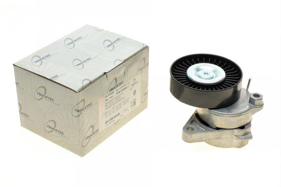 Натяжник ременя генератора Mercedes Benz W202 203 210 211 163 220 639 , M112 M113 02.19.920