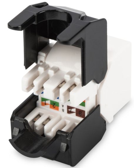 Модуль DIGITUS Keystone RJ45 UTP Cat.6, модерн. (DN-93603) | Зображення 1