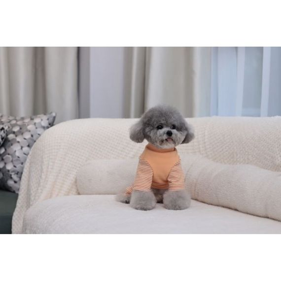 Трикотажный костюм для собак Cheepet в полосочку, оранжевый | Зображення 3
