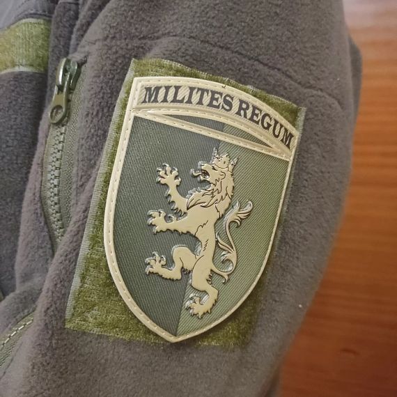 Патч / шеврон ЗСУ 24 окрема механізована бригада імені короля Данила | Зображення 2