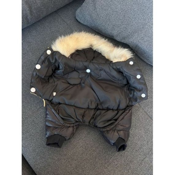 Брендовый зимний комбинезон для собак MONCLER , золотой | Зображення 1