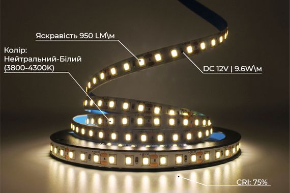 Світлодіодна LED стрічка PROLUM™ 12V; 2835\120; IP20; Series "S", Нейтральний-Білий (3800-4300K) | Зображення 3
