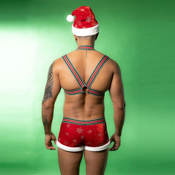 Новорічний чоловічий еротичний костюм JSY 9133 One Size | Зображення 4