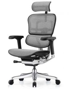 Кресло компьютерное ERGOHUMAN LUXURY 2 (EHL2-AB-HAM-5D-E-L) сетка Т-168-B2