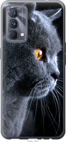 Чехол на Realme GT Master Красивый кот "3038u-2852-17620"