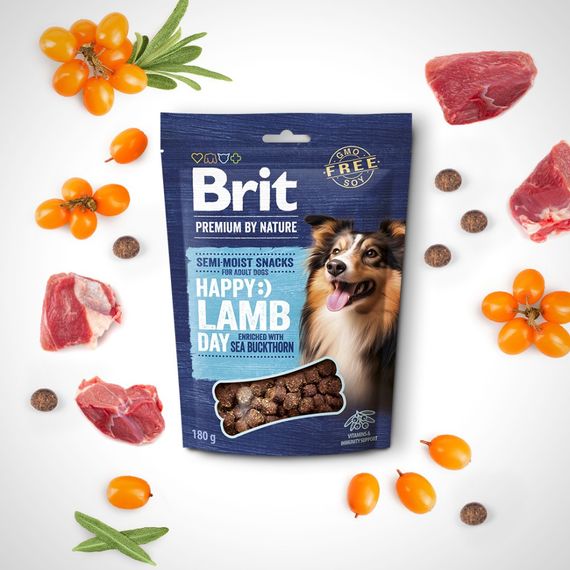 Ласощі Brit Premium Semi-moist Snacks Lamb with Sea Buckthorn напіввологі д/cобак з ягням і обліпихою 180 г | Зображення 1