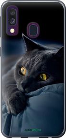 Чохол на Samsung Galaxy A40 2019 A405F Димчастий кіт "825t-1672-2448"