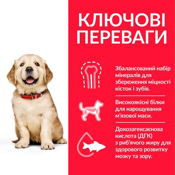 Сухий корм Hill's Science Plan для цуценят великих порід з куркою 14.5 кг | Зображення 2