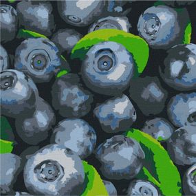 Картина по номерам "Сочная голубика" Идейка KHO5650 25х25 см