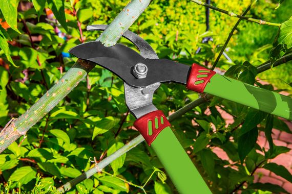 Секатор-сучкоріз Verto 15G252 | Зображення 1