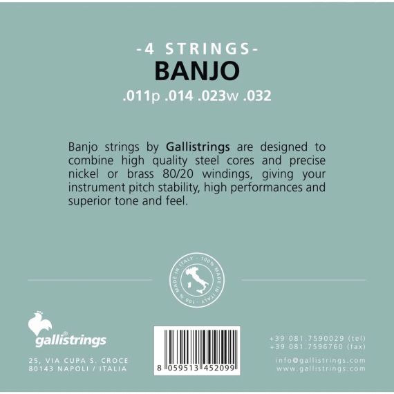 Струни для банджо Gallistrings G204 (.010-.032), Steel | Зображення 1