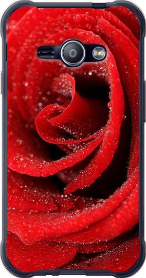 Чехол на Samsung Galaxy J1 Ace J110H Красная роза "529u-215-17620"