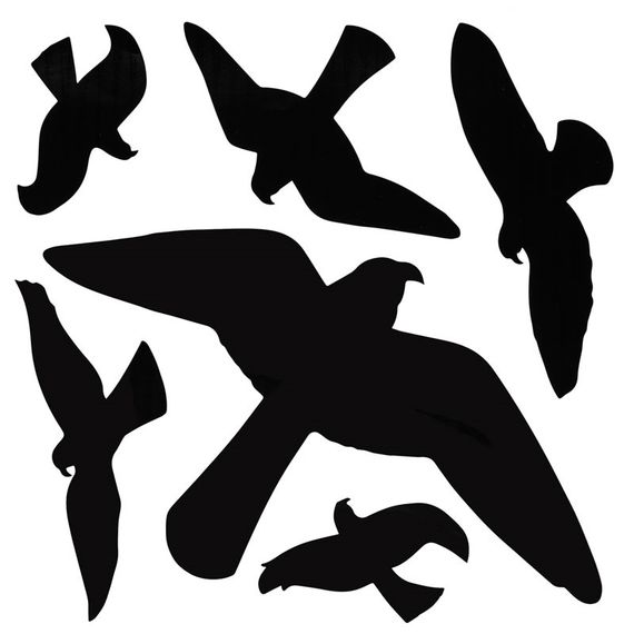 Наклейки для відлякування птахів Bradas великі, 6 шт, 10 аркушів (CTRL-BR002)