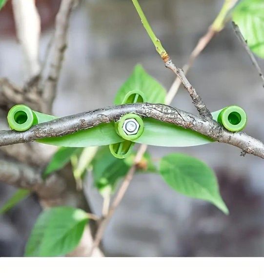 Фіксатор вигину рослин Колір зелений | Зображення 3