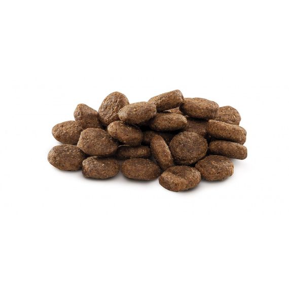 Корм сухий Brit Premium Dog Junior L для цуценят та молодих собак великих порід від 1 до 24 місяців вагою 25-45 кг з куркою | Зображення 1