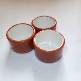 Поилка-кормушка 5см для небольших гекконов Trixie оранжевая