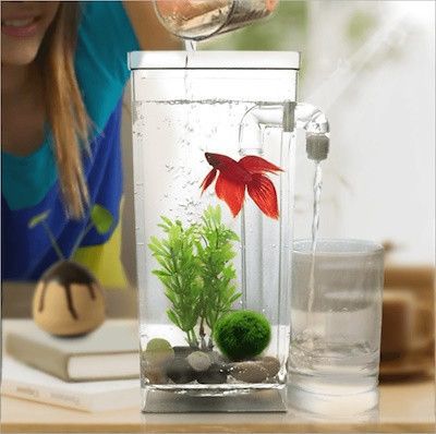 Самоочищающийся акриловый аквариум для рыбок My Fun Fish Мини-аквариум с краном для легкого очищения | Зображення 1