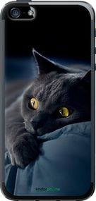 Чохол на iPhone SE Димчастий кіт "825u-214-2448"