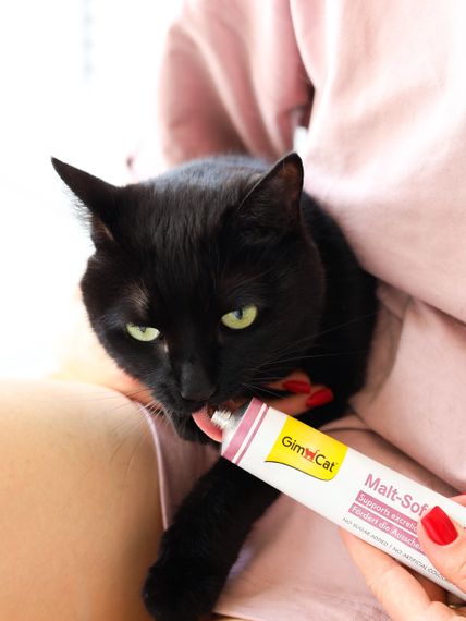 Мальт-паста для виведення вовни зі шлунка котів GimCat Malt-Soft Extra, 100 гр | Зображення 3