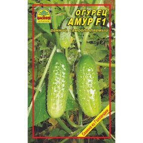 Насіння огірка Амур F1 5 шт.