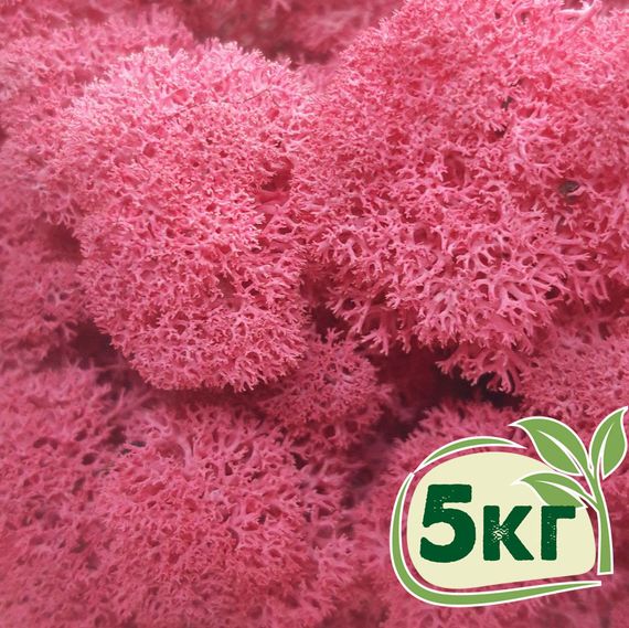 Стабілізований мох ягель Цикламен 5 кг