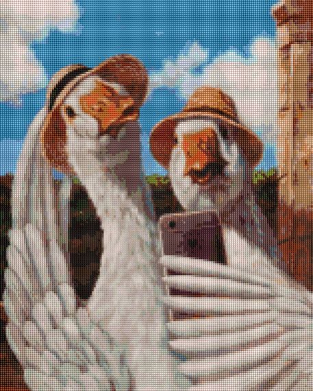 Селфи гусей ©Lucia Heffernan