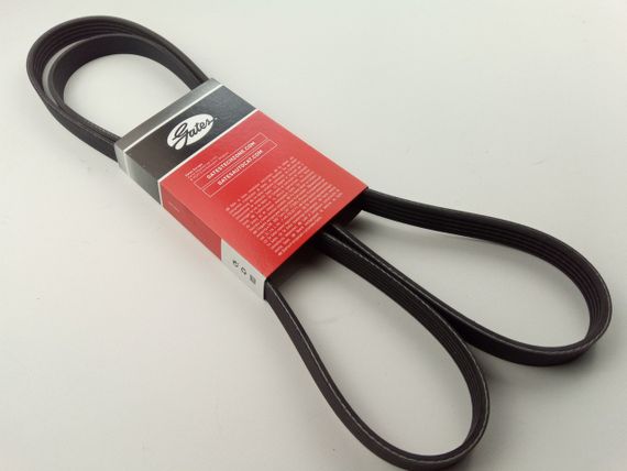 Ремінь генератора струмковий ВАЗ 2123, GATES (5PK1885) (2123-1041020-30) | Зображення 1