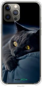 Чохол на iPhone 12 Pro Max Димчастий кіт "825sp-2054-2448"