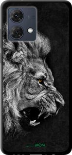 Чохол на Motorola Moto G84 Лев "1080b-3344-2448"