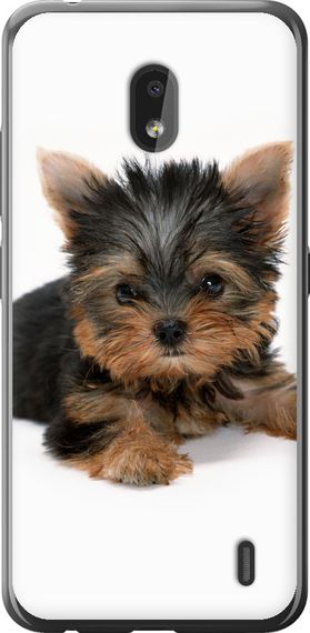 Чехол на Nokia 2.2 Щенок йоркширского терьера "931u-1706-17620"