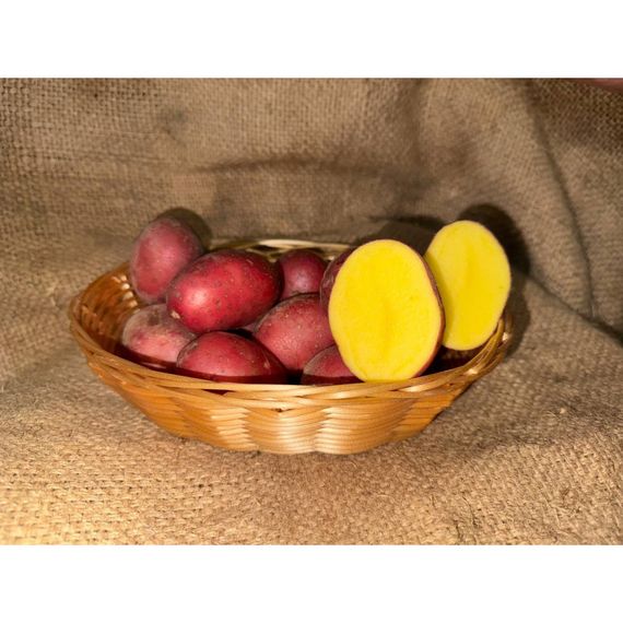 Семенной картофель, раннеспелый сорт "Эсми" I-репродукция 5 кг